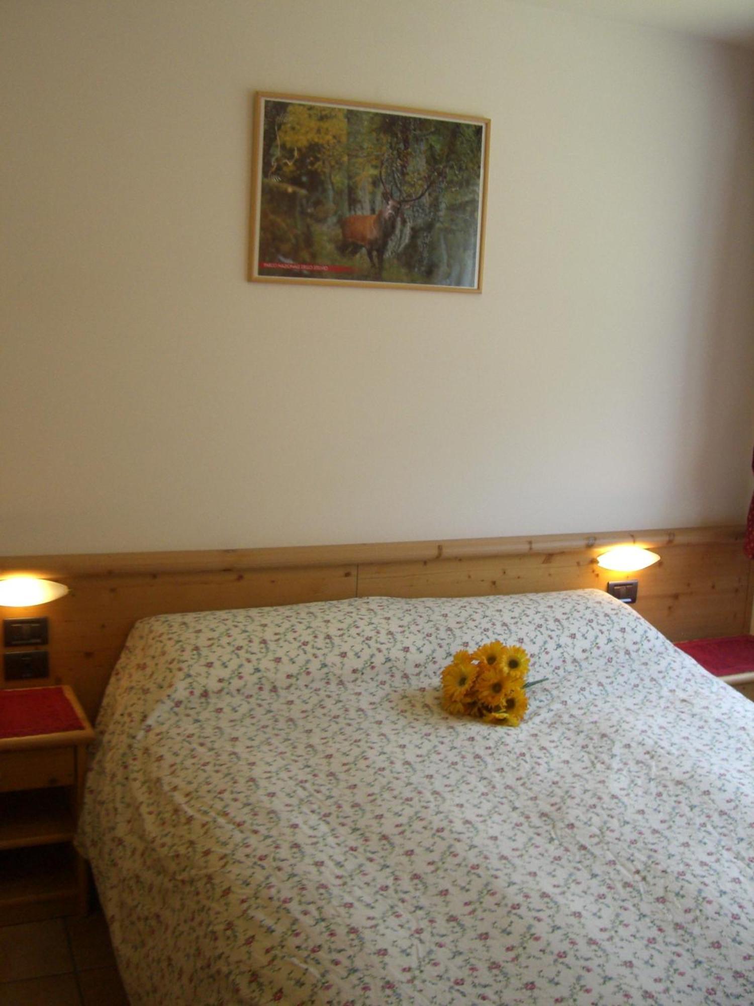 Alice Aparthotel Celledizzo